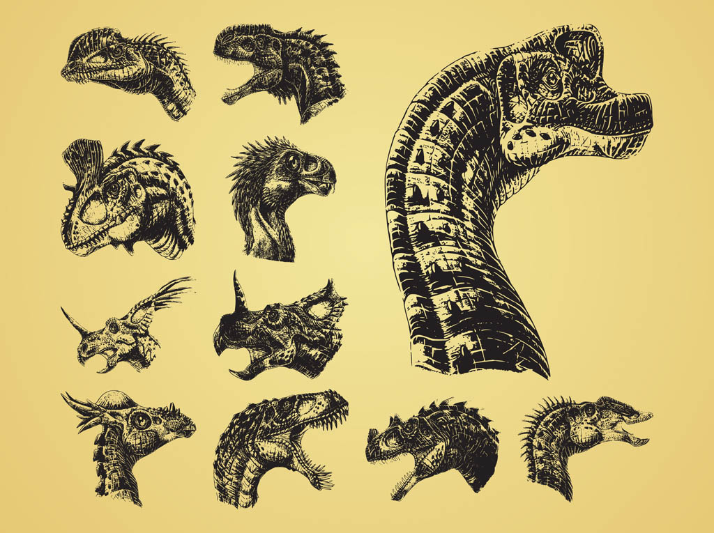 Dinosaur Heads