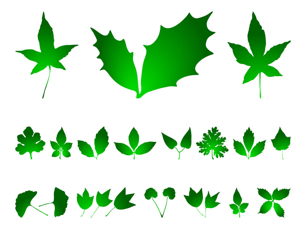 Leaves Graphics Pack