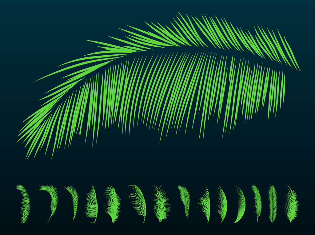 Palm Leaves Silhouettes Vector Art & Graphics | freevector.com