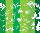 Plants Silhouettes Nature Graphics