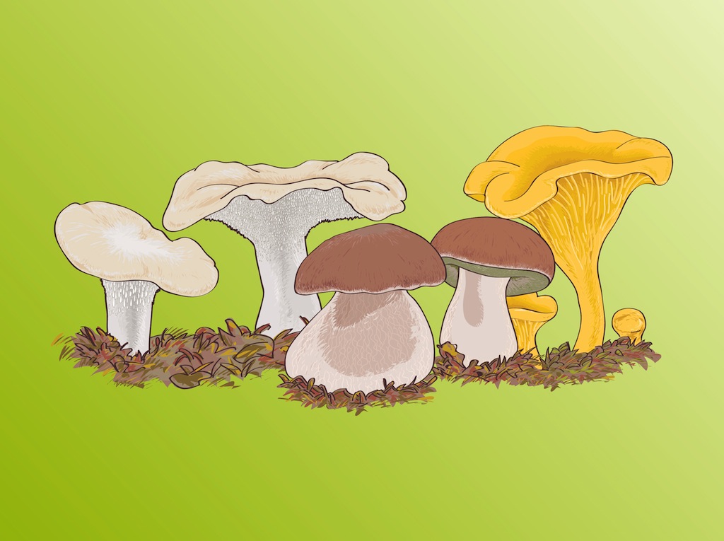 vector free download mushroom - photo #19