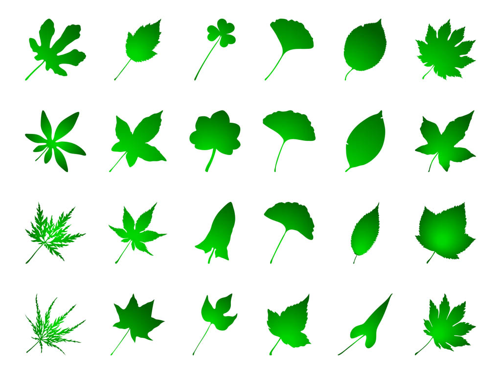 Green Leaves Set