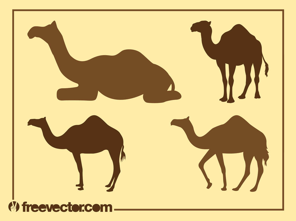 Camel Silhouettes Graphics