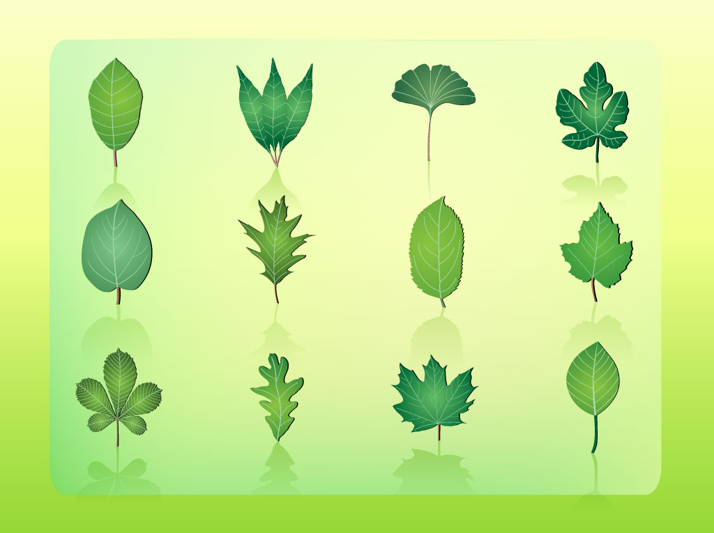 Free Leaf Vector Icons