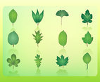 Free Leaf Vector Icons