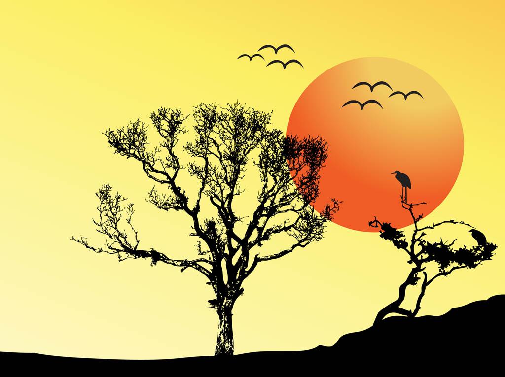 Sunset Vector Background