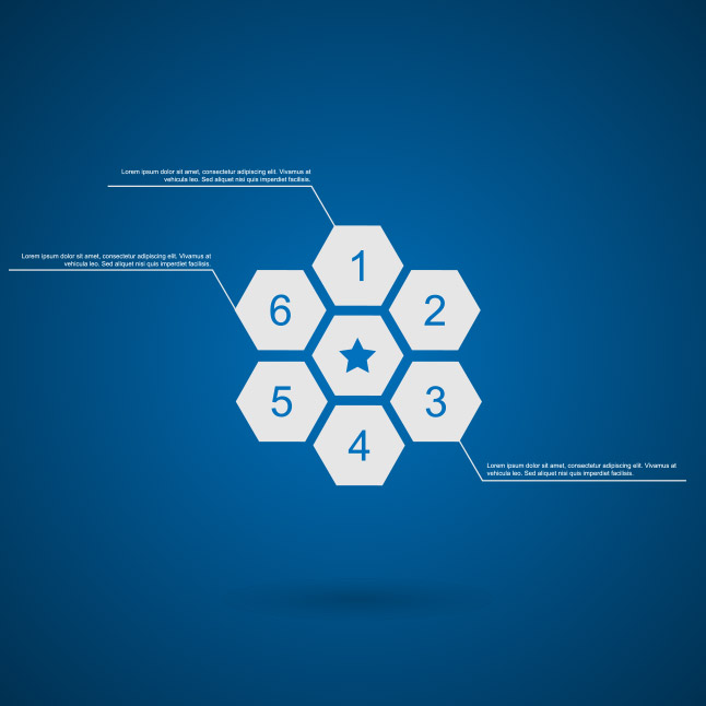 Honeycomb Infographic Vector