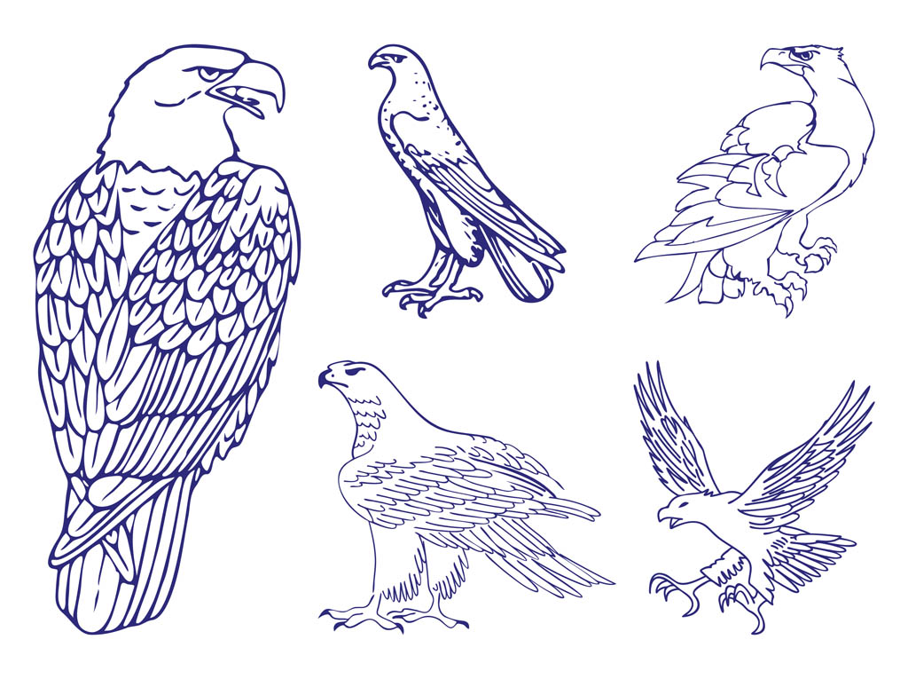 Eagle Graphics Set