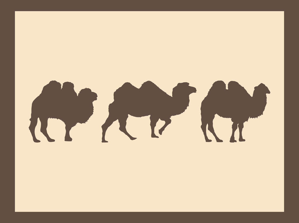 Camels Silhouettes