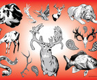 Wildlife Vector Graphics