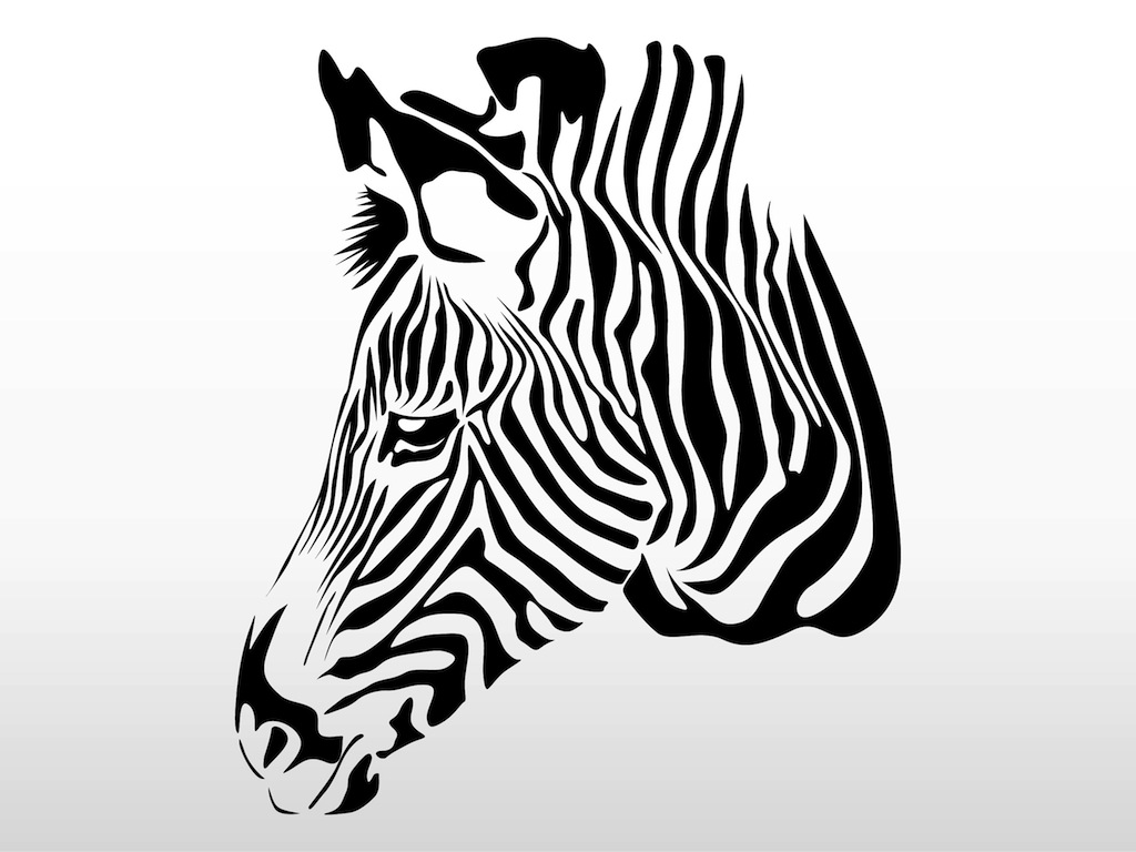 Zebra Head