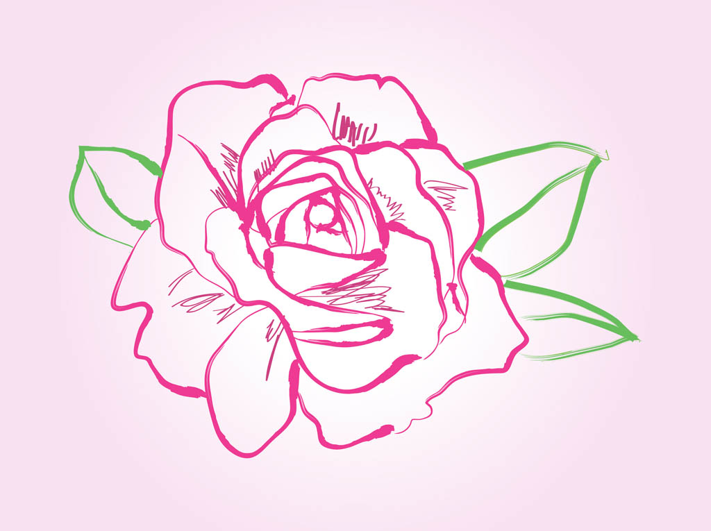 Rose Drawing Vector
