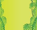 Jungle Leaves Vector Background