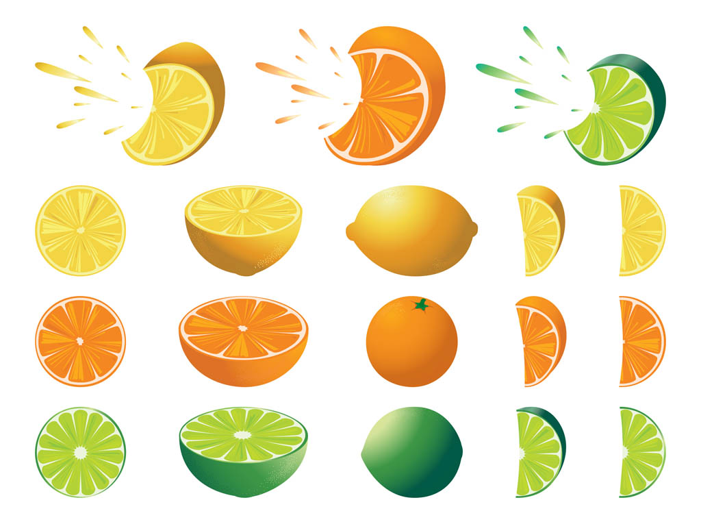 Citrus Fruits Set