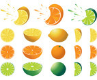 Citrus Fruits Set