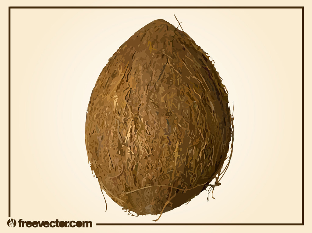 Coconut Vector 2