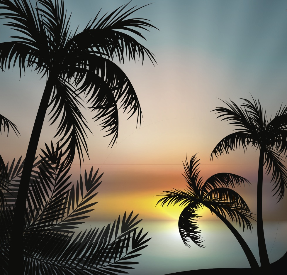 Summer Sunset Vector Background