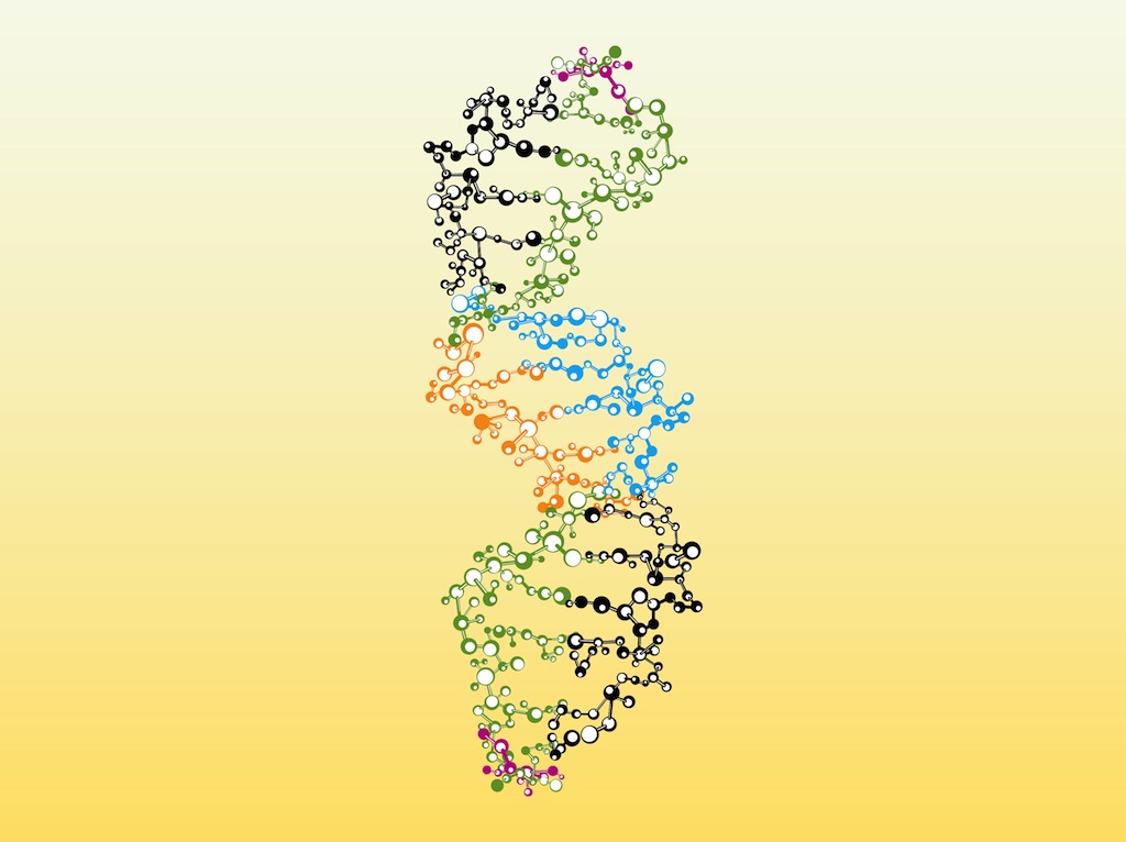 Colorful DNA