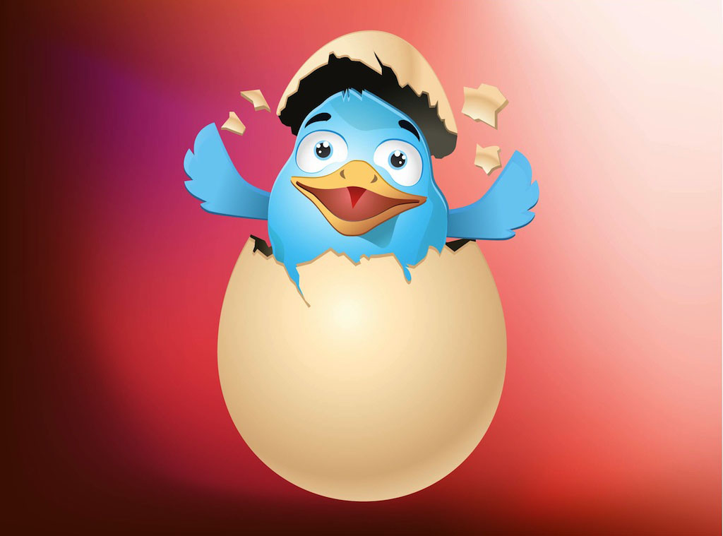 Bird In Egg