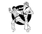 Karate Fight Graphics