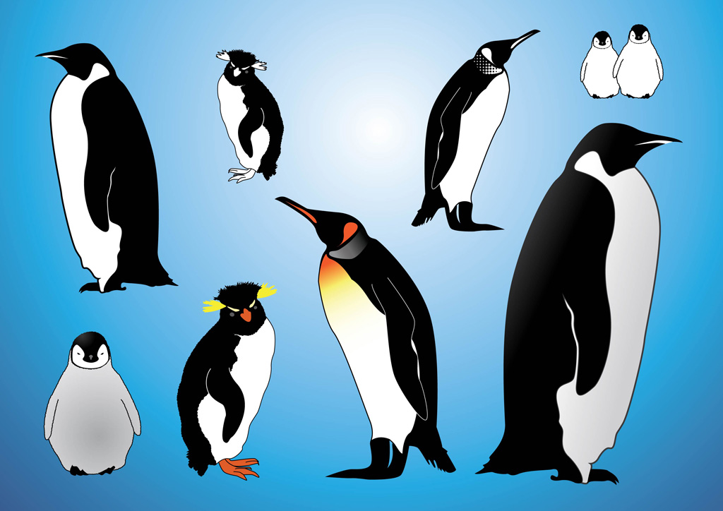 Penguins Vectors