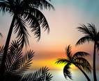 Sunset Vector with Palm Trees
