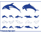 Dolphins Vector Graphics