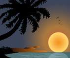 Sunset On Beach Graphics