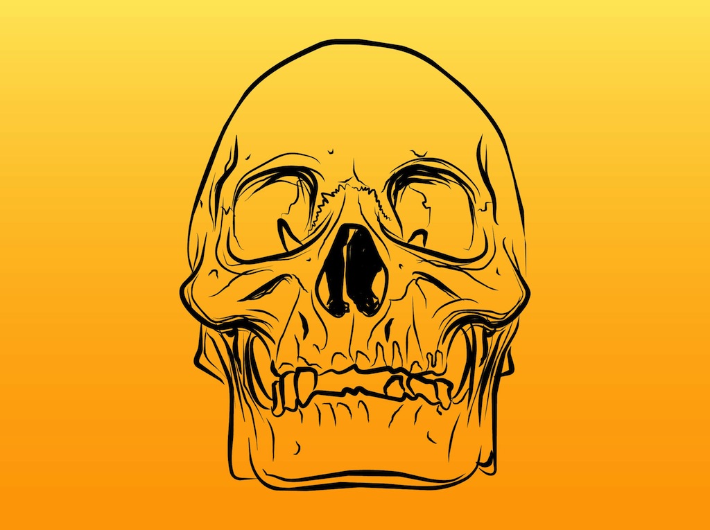 Skull Outlines Vector
