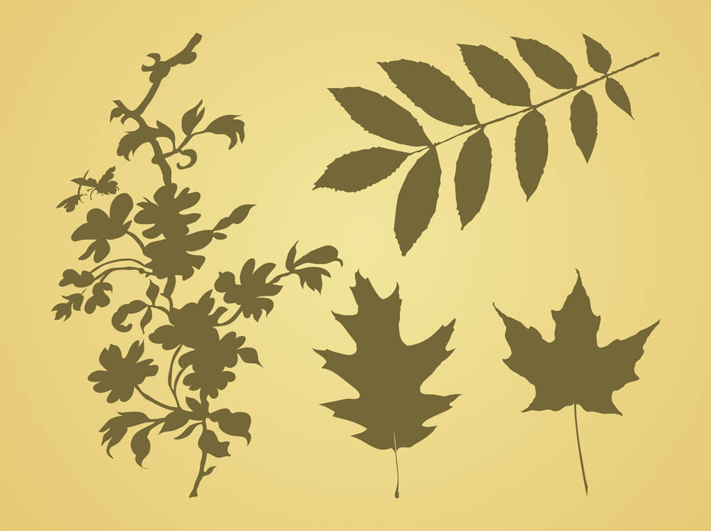 Leaves Vector Graphics