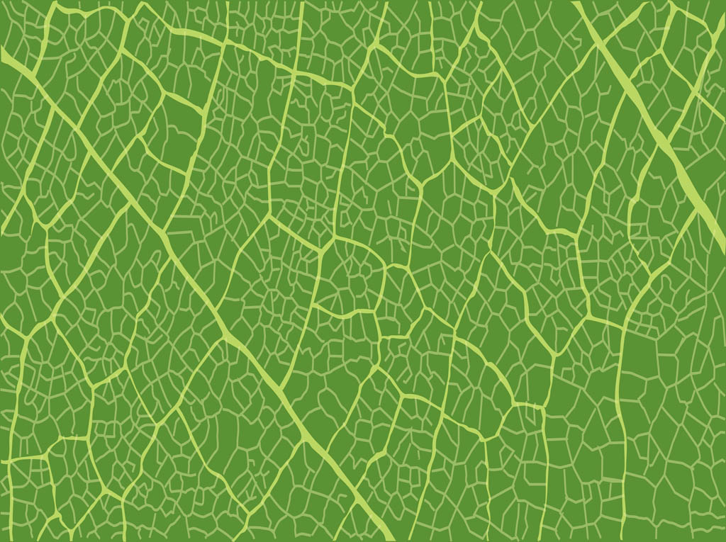 leaf pattern clipart - photo #50