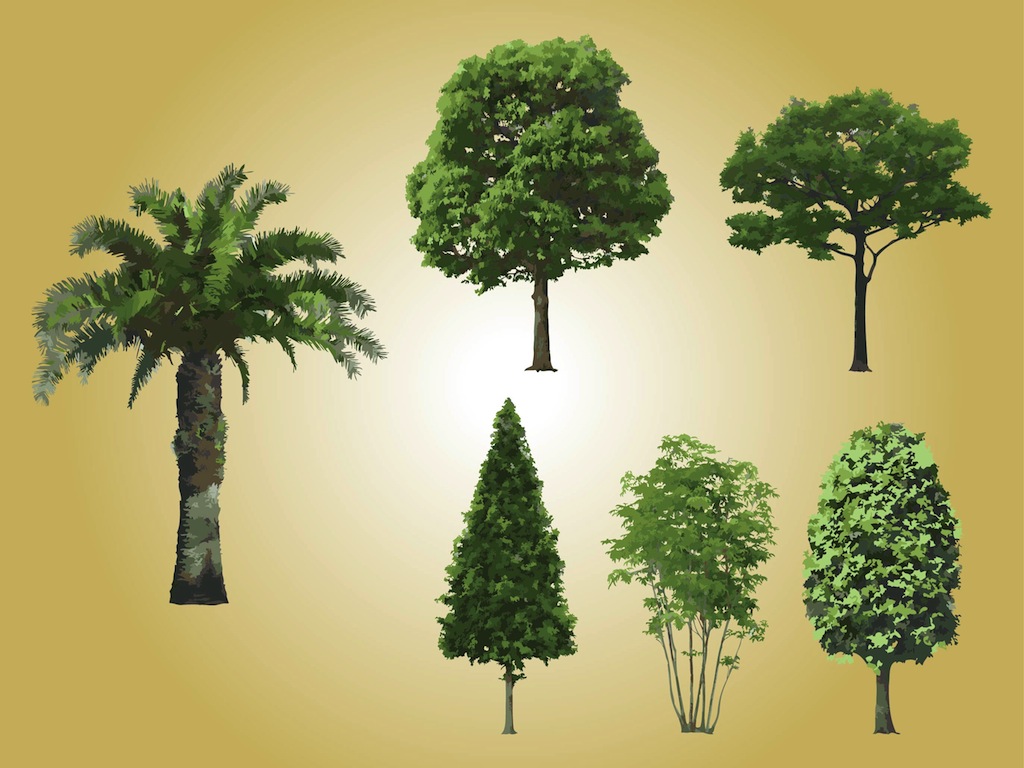 Realistic Tree Vectors