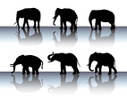 Elephant Silhouette Vector Set