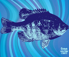 Fish Vector Graphics