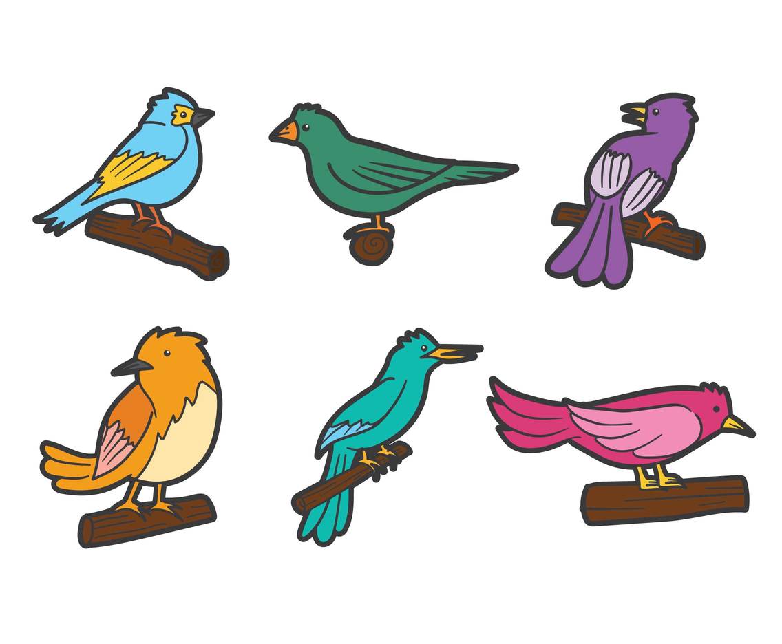 Cartoon Birds Vector