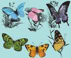 Vintage Colorful Butterflies