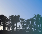 Free Palm Trees Vector