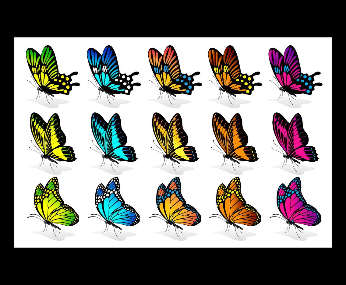 Beautiful Butterfllies vector set