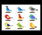 Kids Cartoon Birds Simple Design