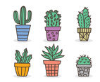 Hand Drawn Cactus Collection Vector