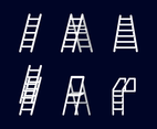Free Ladder Vector