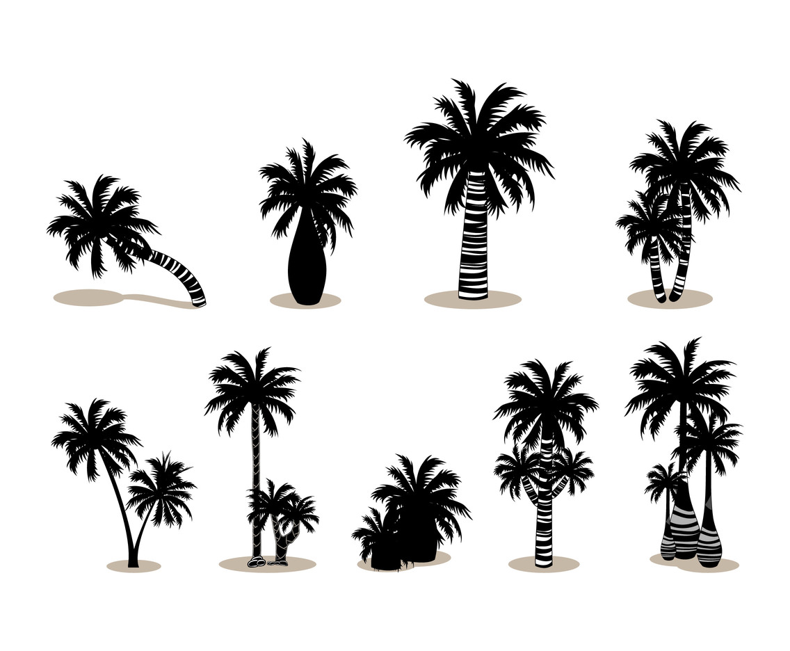 Palm Silhouette vector