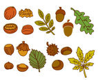 Nuts And Leaves Vector Collection