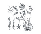 Black and White Seaweeds