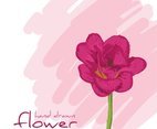 Hand Drawn Flower