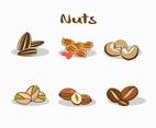 Various Nuts Vector