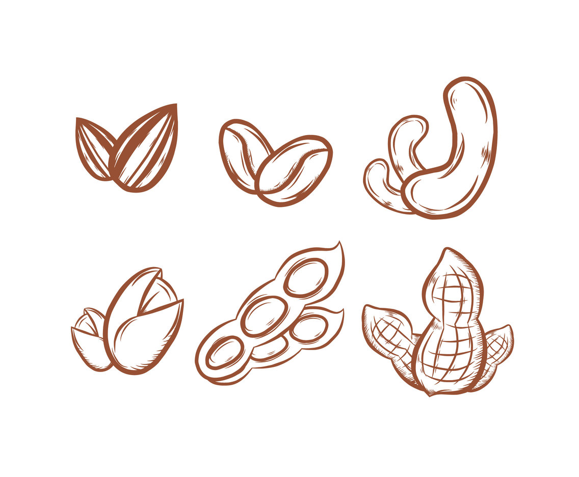 Sketchy Nuts Illustration Vector