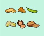 Nuts Illustration Vector