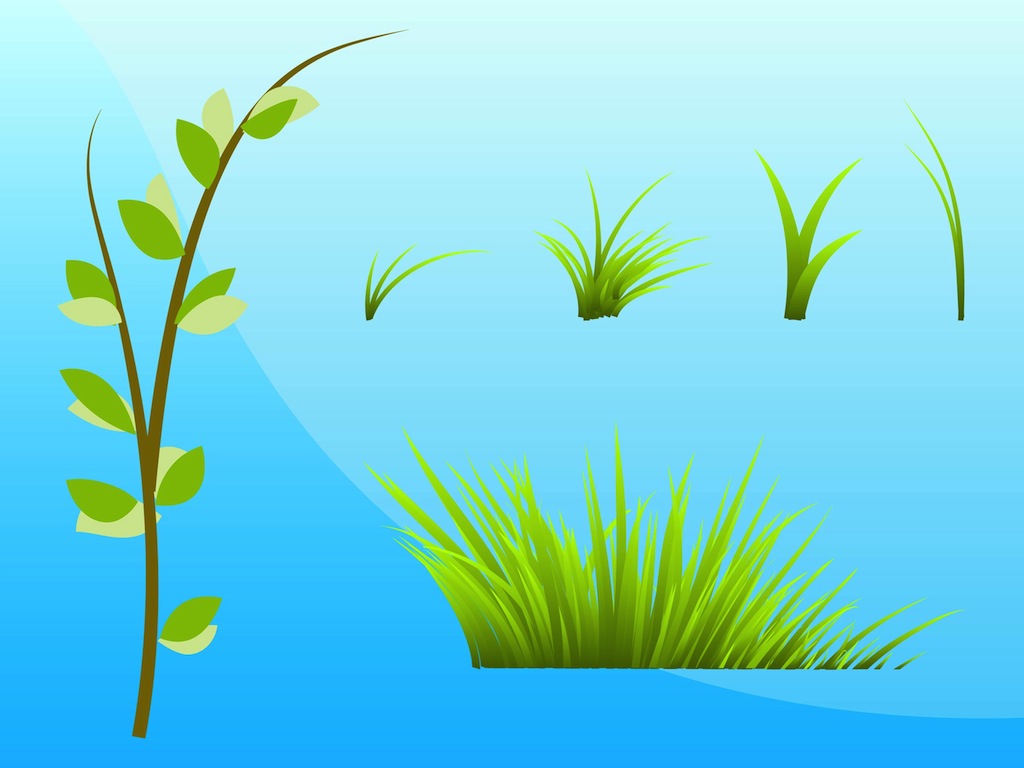 Grass And Plants