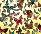 Butterflies Vector Pattern